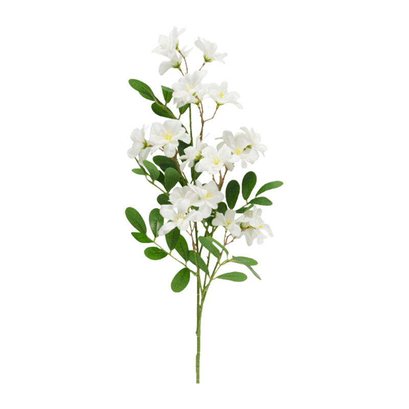 Sophora Flower With 21 Flower 75cm