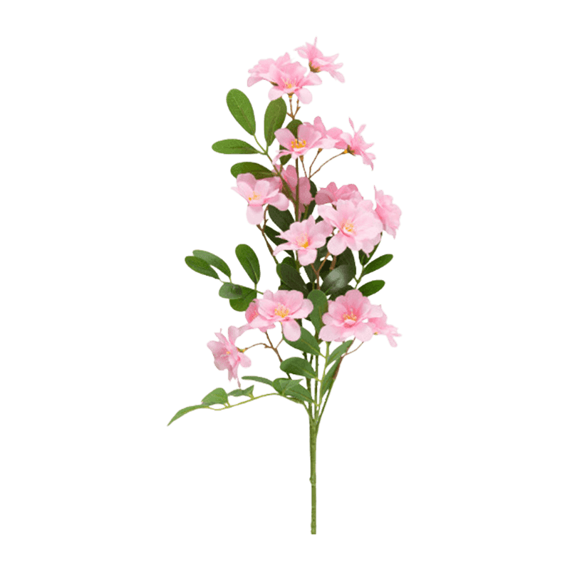 Sophora Flower With 21 Flower 75cm