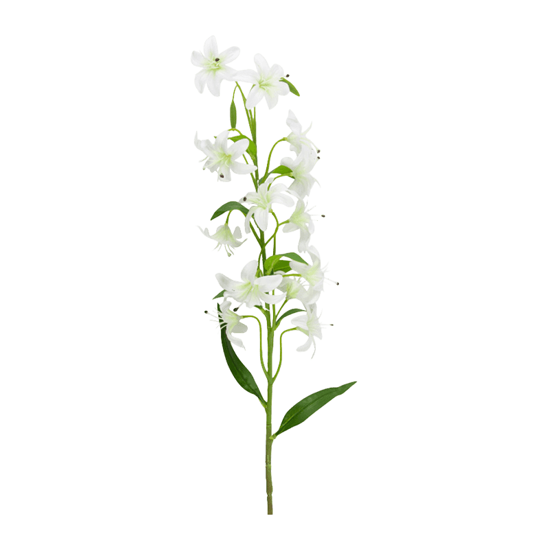 Single Stem Lily With 14 Flowers