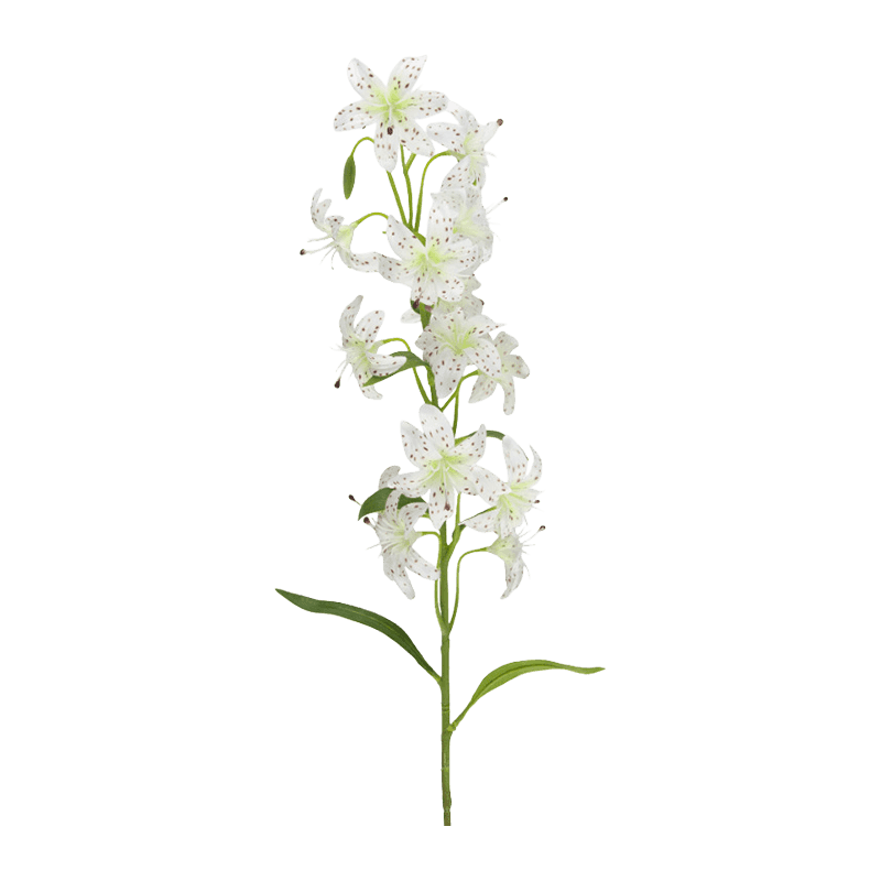 Single Stem Lily With 14 Flowers
