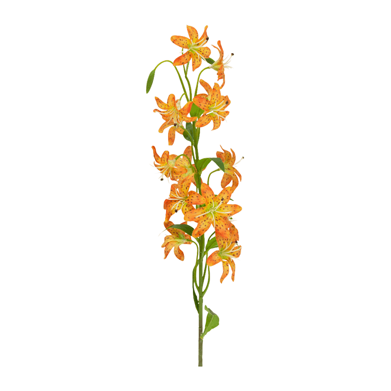 Single Stem Lily With 14 Flowers