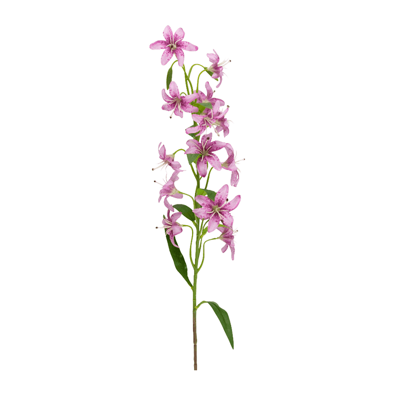 Single Stem Lily With 14 Flowers