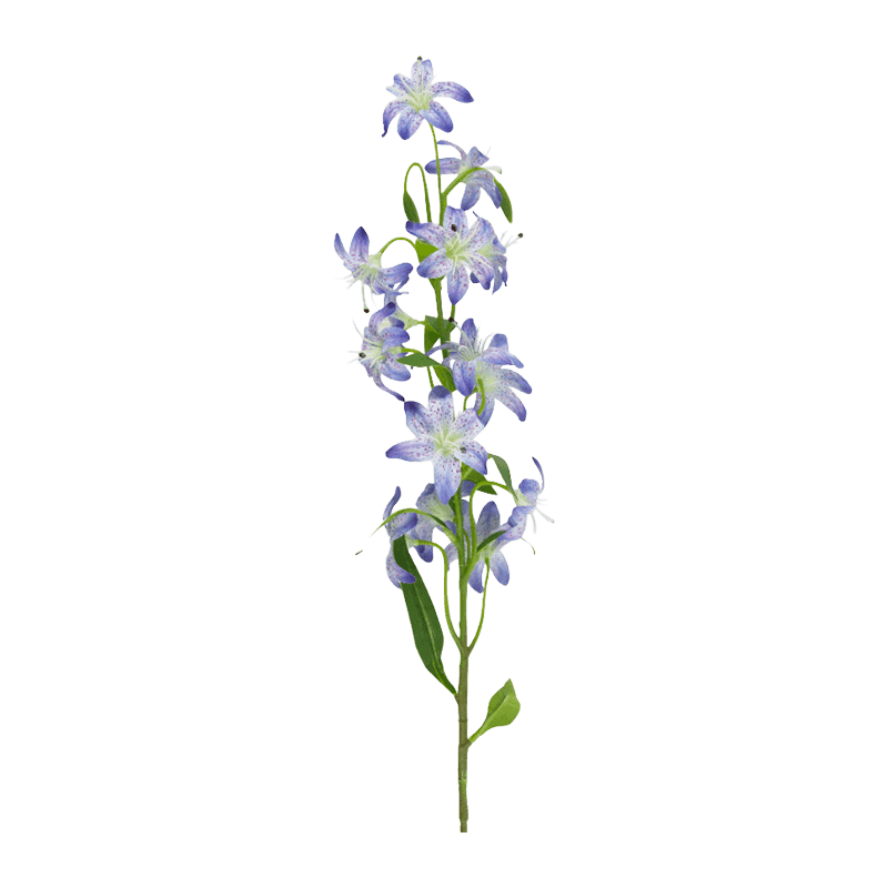 Single Stem Lily With 14 Flowers