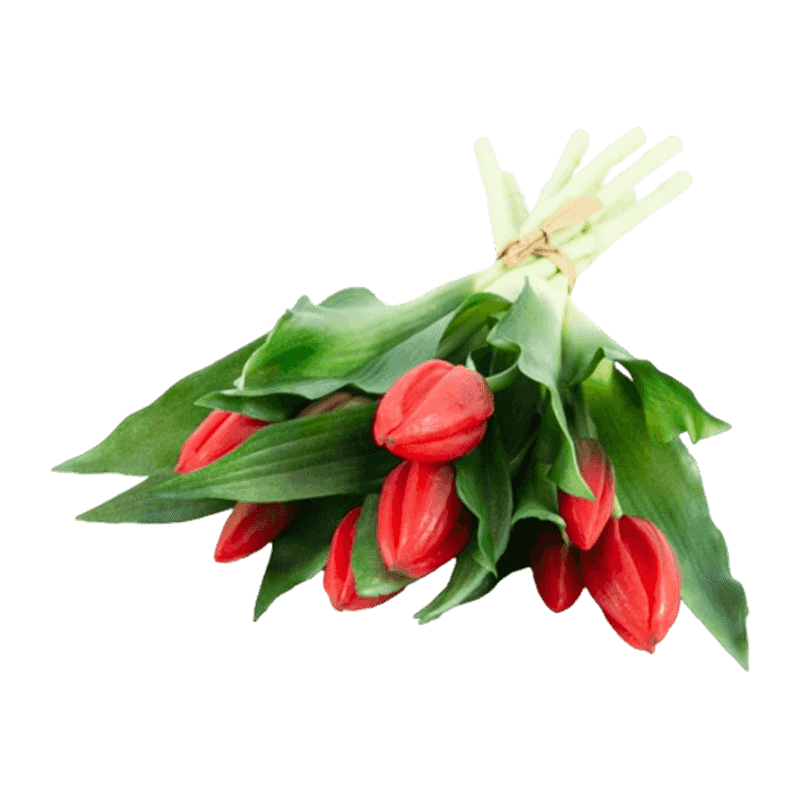 11"Artificial Tulip With 5 Big Bud And 4 Small 14 Leaves