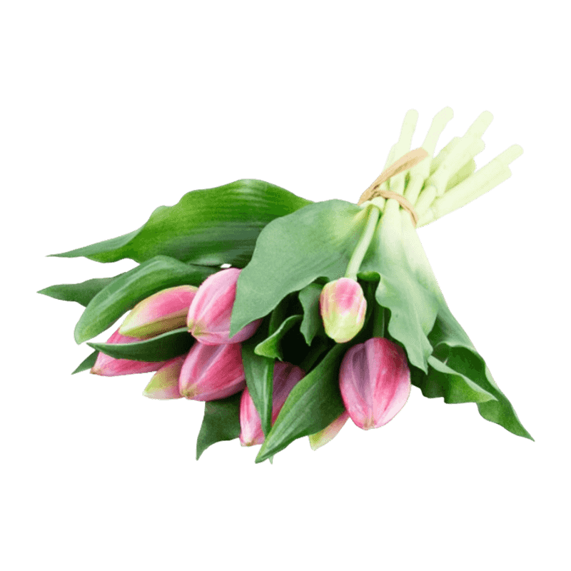 11"Artificial Tulip With 5 Big Bud And 4 Small 14 Leaves