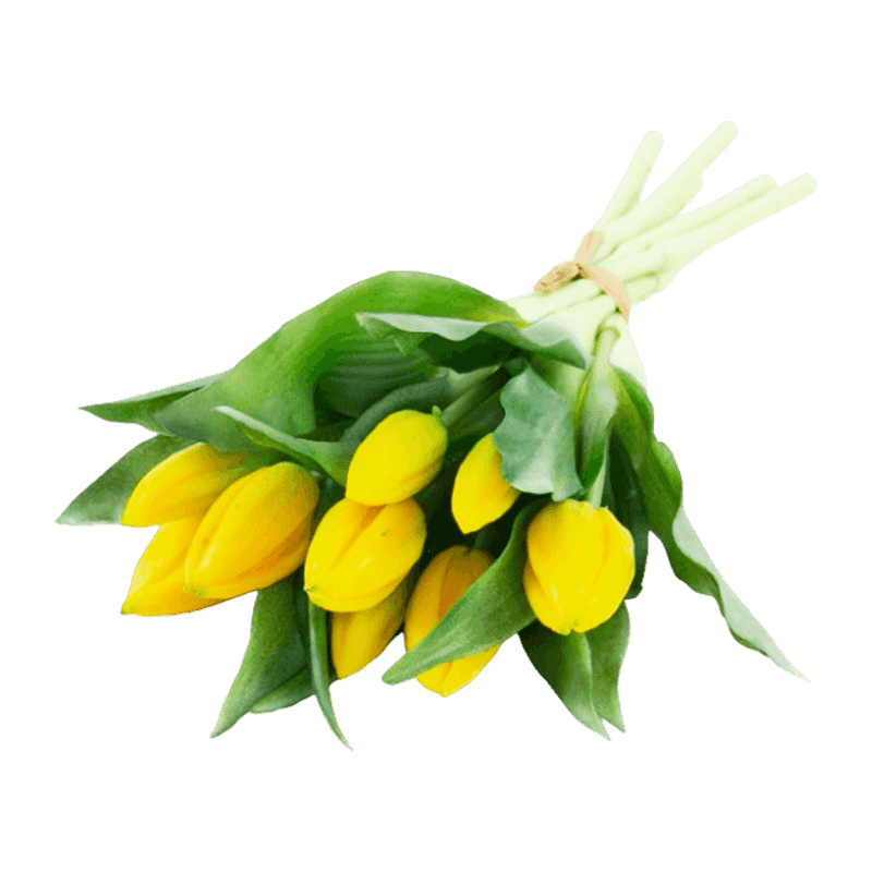 11"Artificial Tulip With 5 Big Bud And 4 Small 14 Leaves