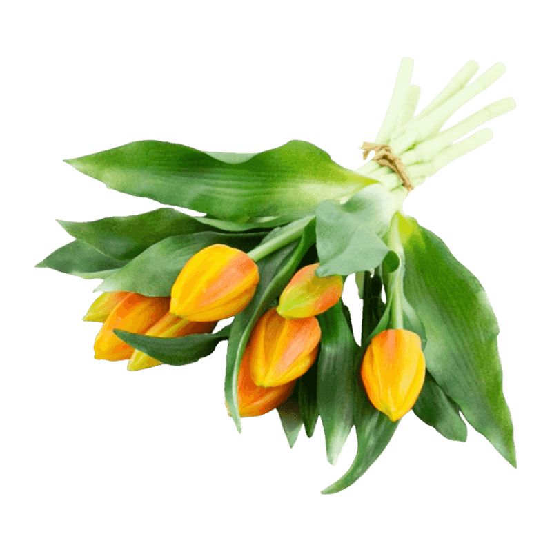 11"Artificial Tulip With 5 Big Bud And 4 Small 14 Leaves