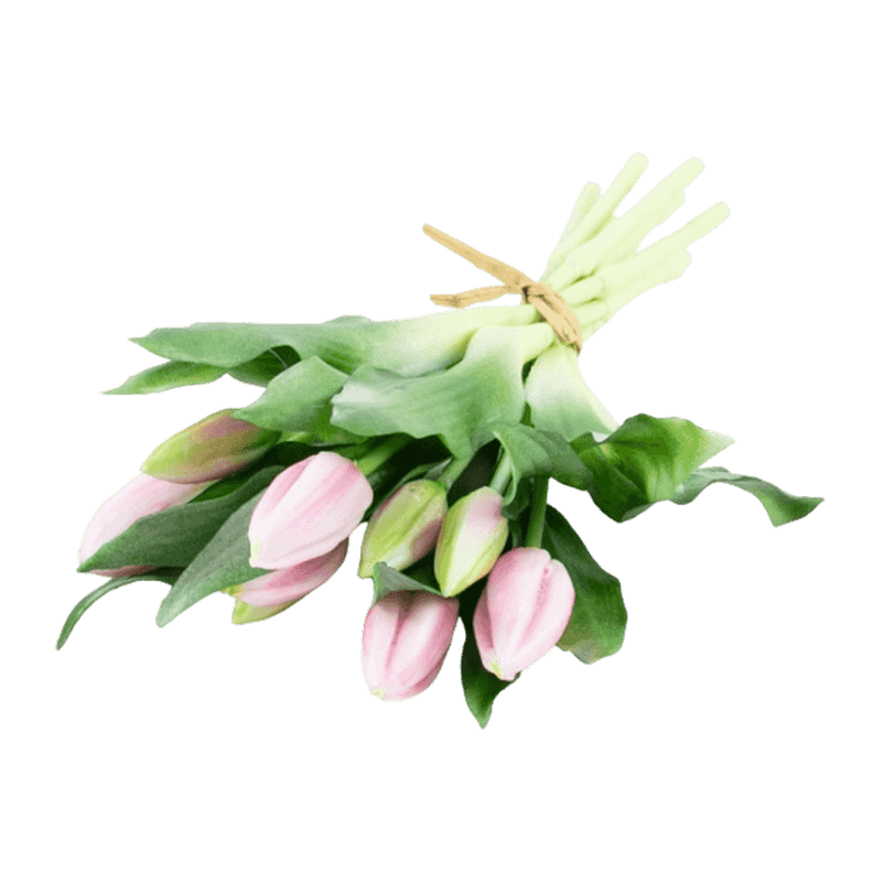 11"Artificial Tulip With 5 Big Bud And 4 Small 14 Leaves
