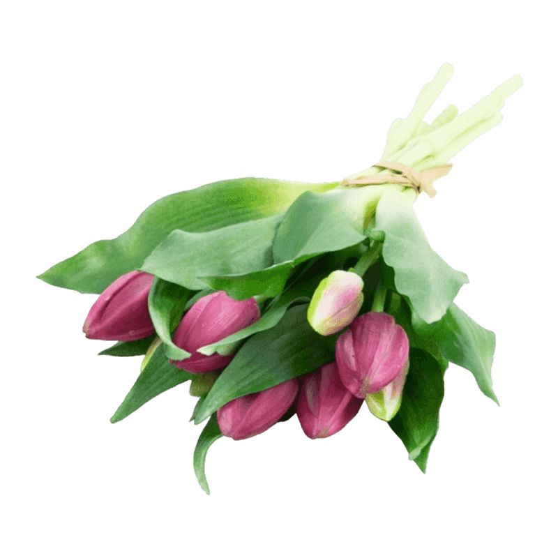 11"Artificial Tulip With 5 Big Bud And 4 Small 14 Leaves