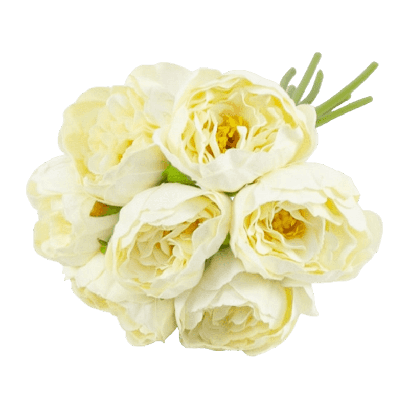 Peony Peony Bouquet 23cm