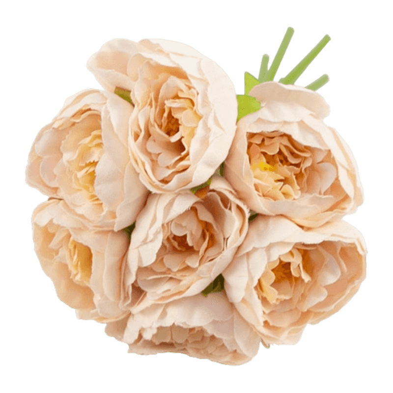 Peony Peony Bouquet 23cm