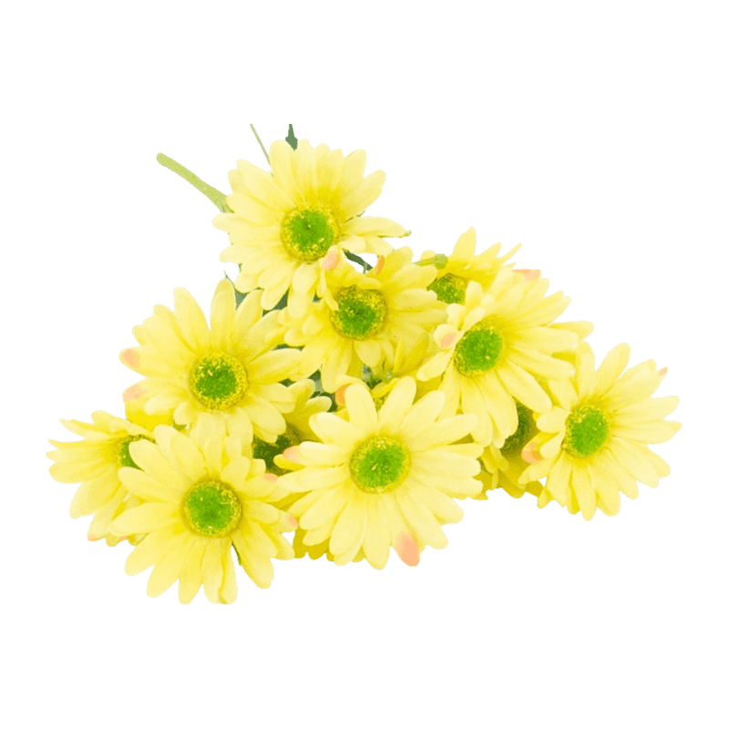 15 Heads Artificial Daisy Pick Bouquet