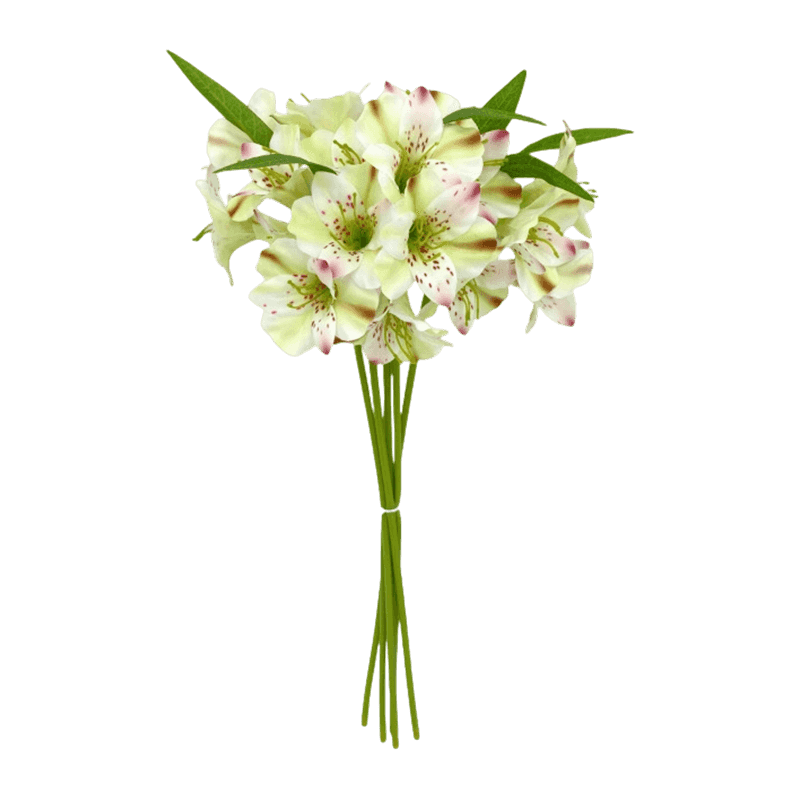 Silk Blush Spotted Peruvian Lily Hand-Tied Posy Bundle