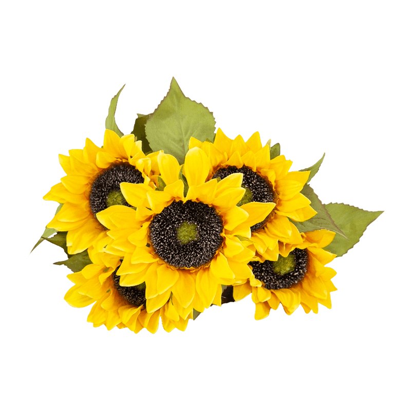 Autumn Sunflower Bush With 5 Flowers