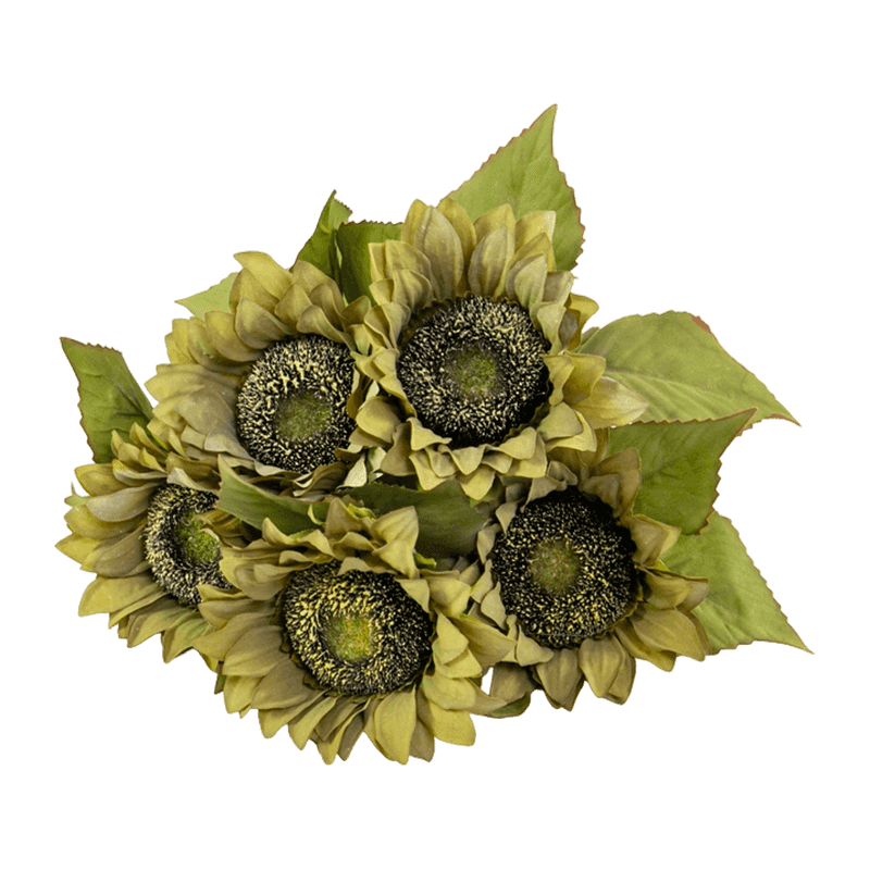 Autumn Sunflower Bush With 5 Flowers