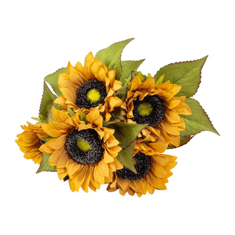 Autumn Sunflower Bush With 5 Flowers