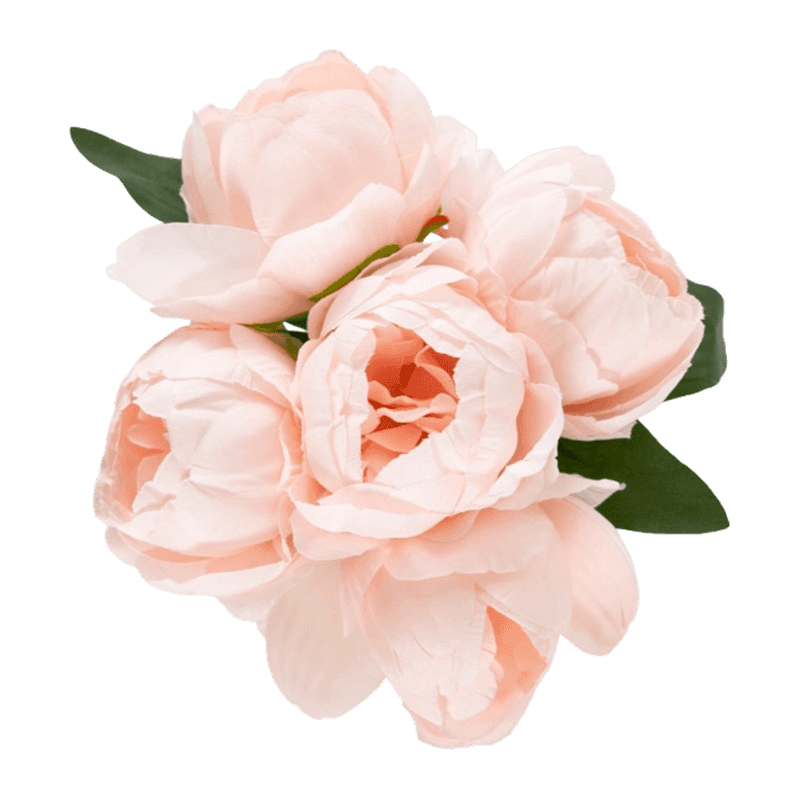 Artificial Peony Flowers With 5 Heads