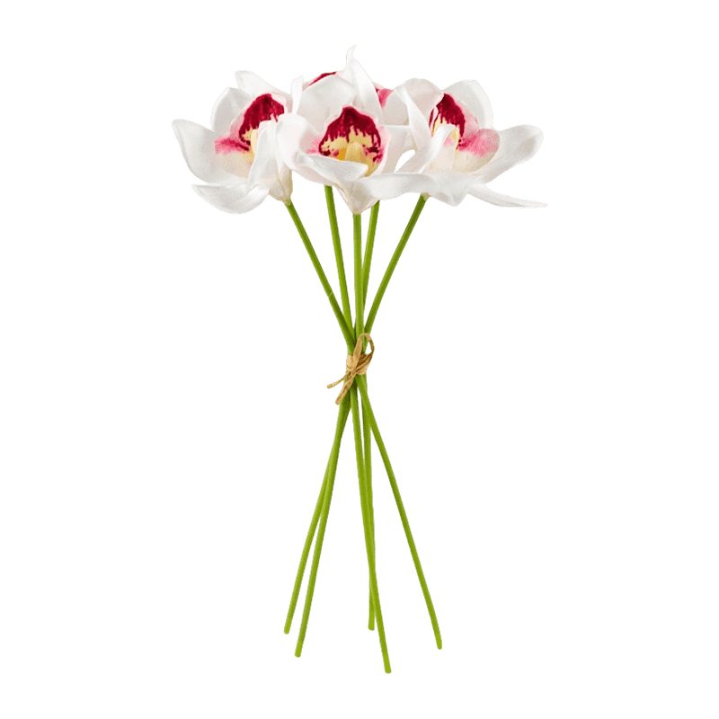 Silk Blush Cymbidium Hand-Tied Posy Bundle