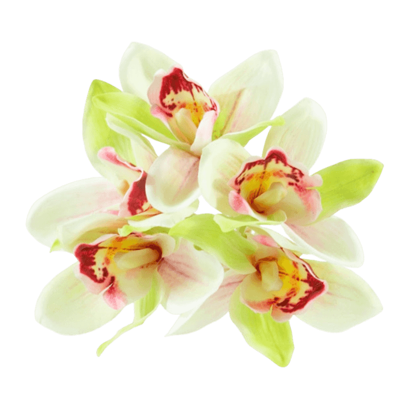 Silk Blush Cymbidium Hand-Tied Posy Bundle