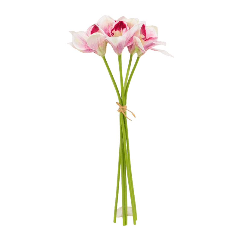 Silk Blush Cymbidium Hand-Tied Posy Bundle