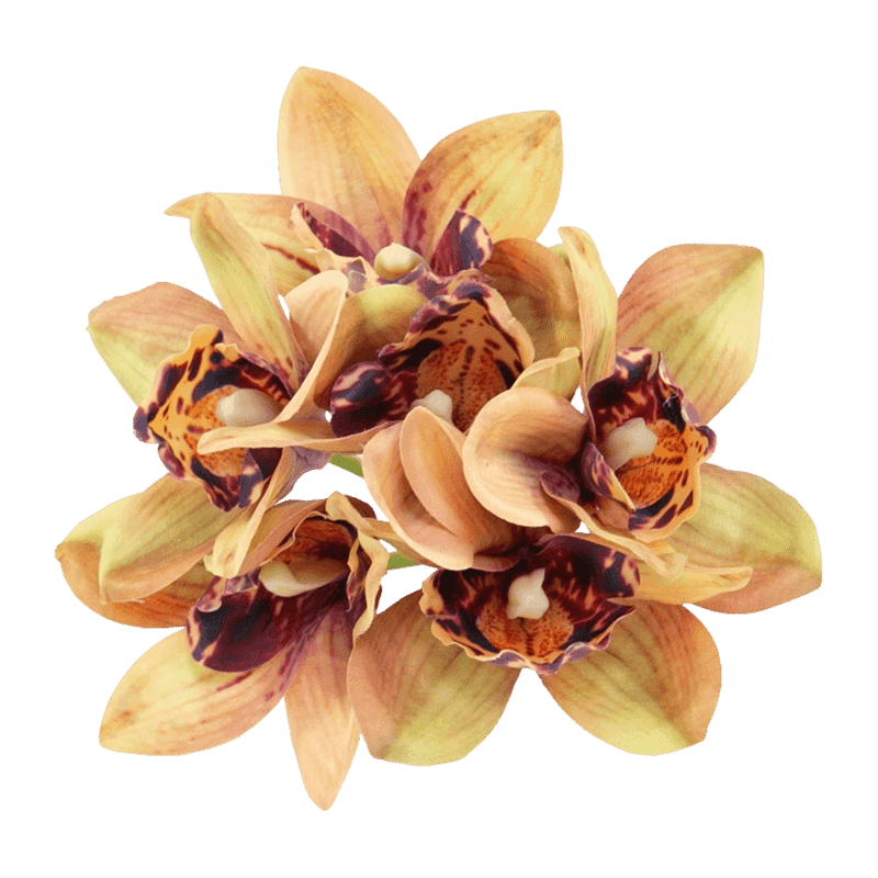 Silk Cymbidium Hand-Tied Posy Bundle