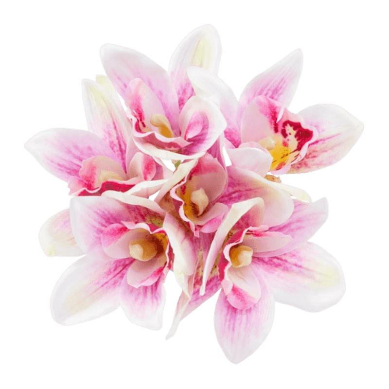 Silk Cymbidium Hand-Tied Posy Bundle