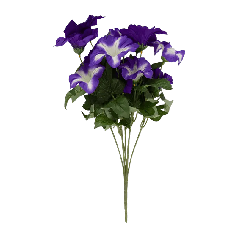 Morning Glory Bush With 14 Flowers