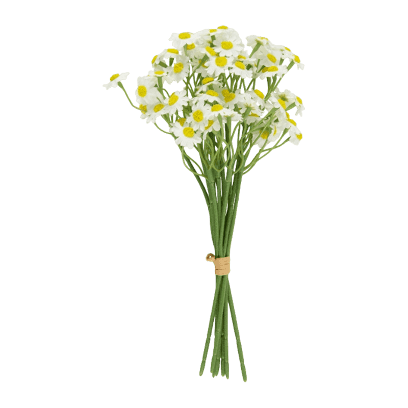 Daisy Bouquet With 7 Stem