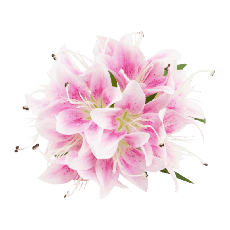 6 Heads Artificial Lily Pick Bouquet