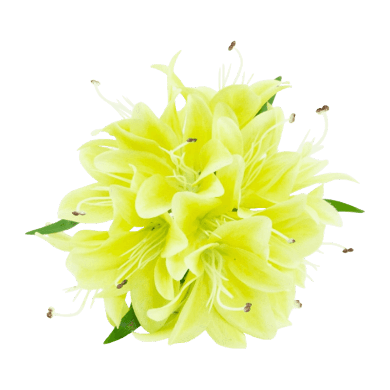 6 Heads Artificial Lily Pick Bouquet