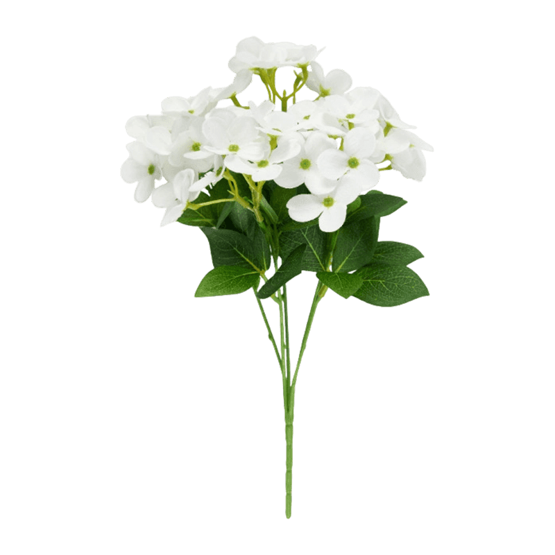 Syringa Vulgaris Bush With 45 Flowers