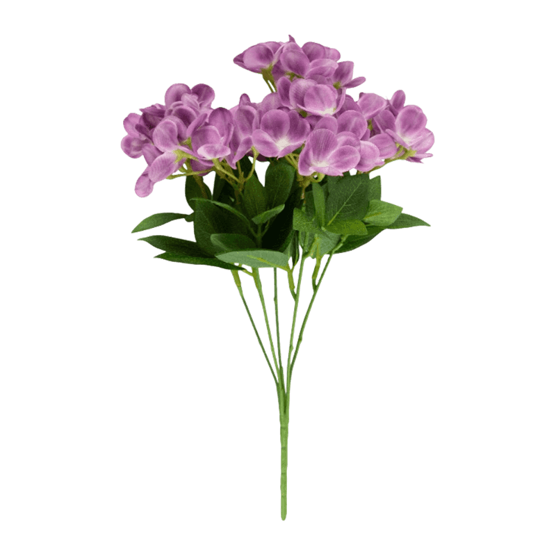 Syringa Vulgaris Bush With 45 Flowers
