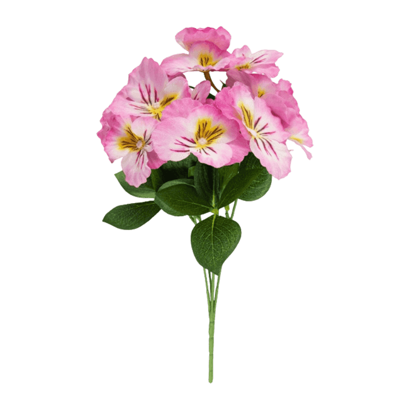 Pansy Flower With 15 Flowers