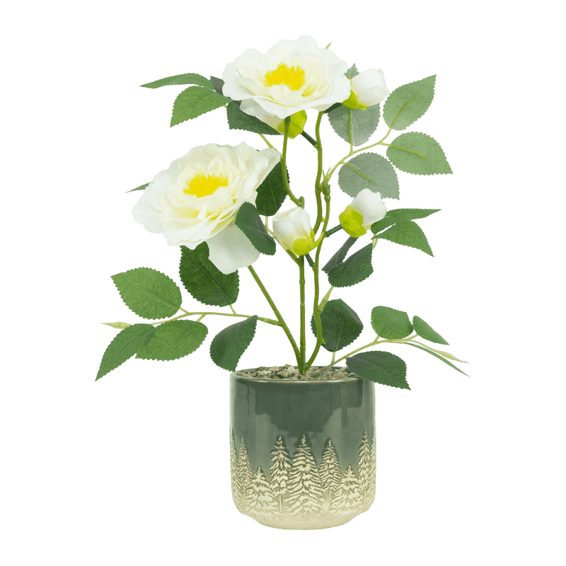 6 Roses In Ceramic Pot 6 Roses In Ceramic Pot