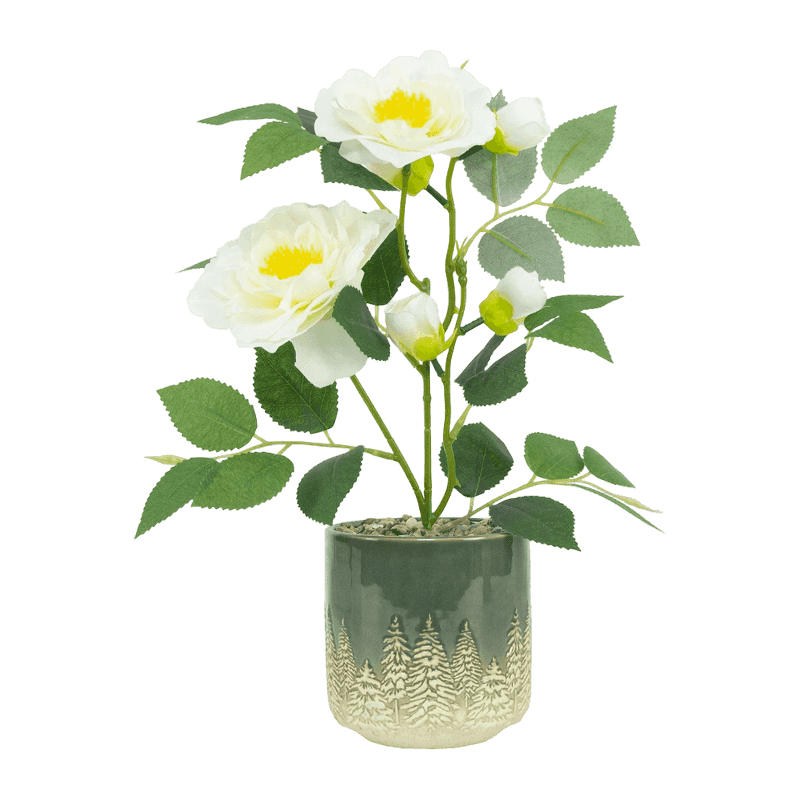 6 Roses In Ceramic Pot