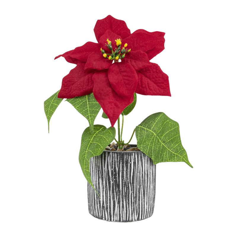 Artificialn Poinsettia With Cement Pot