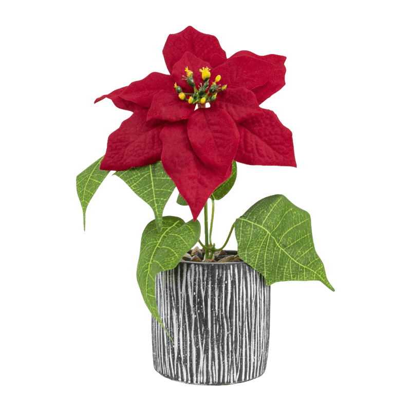 Artificialn Poinsettia With Cement Pot