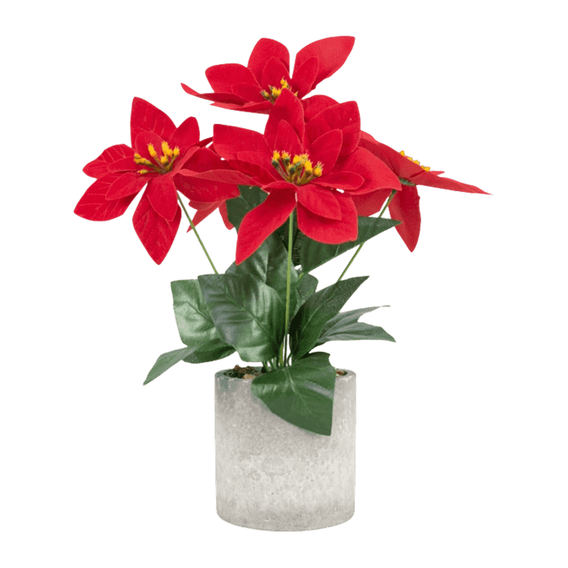 Artificial Pinsettia With Cement Pot Artificial Pinsettia With Cement Pot