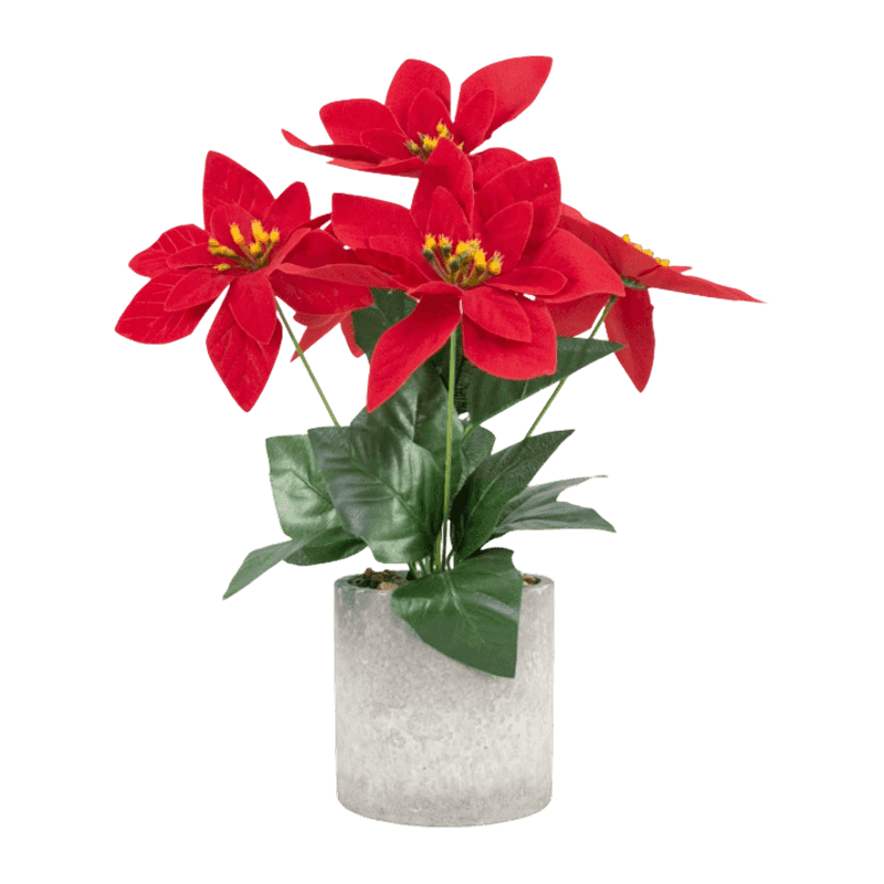 Artificial Pinsettia With Cement Pot