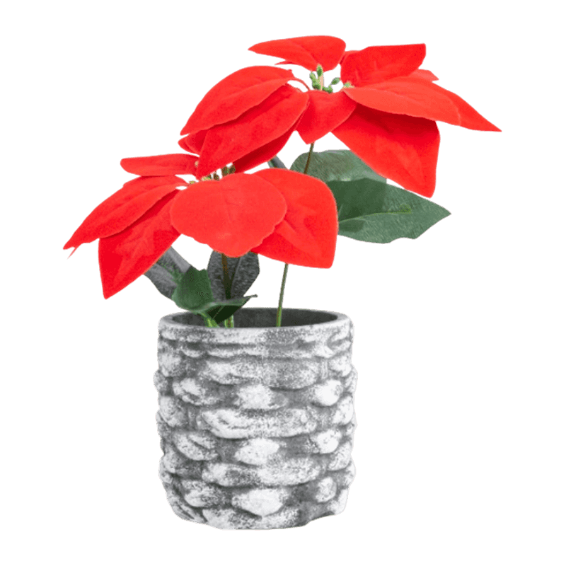 Artificial Poinsettia With Cement Pot