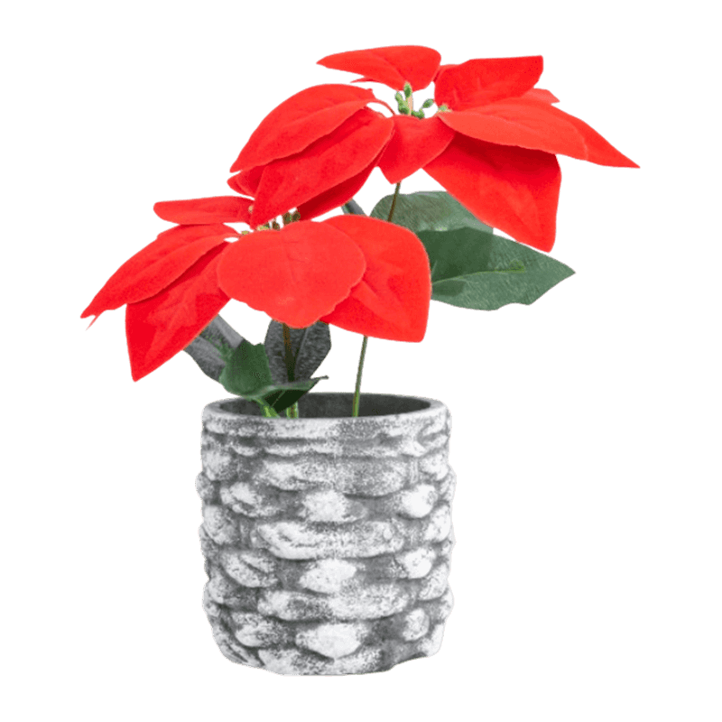 Artificial Poinsettia With Cement Pot