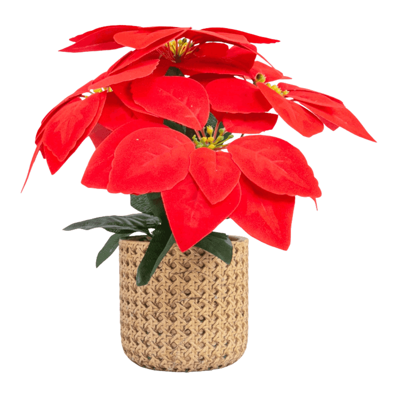 Artificial Ponsettia With Cement Pot