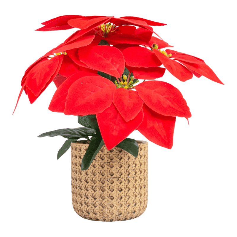 Artificial Ponsettia With Cement Pot