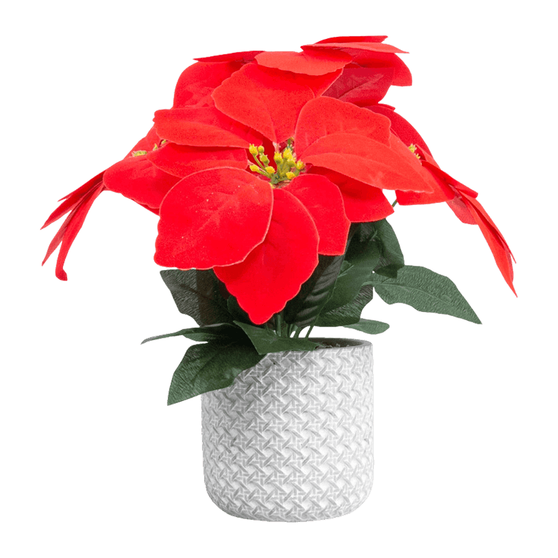Artificial Ponsettia With Cement Pot
