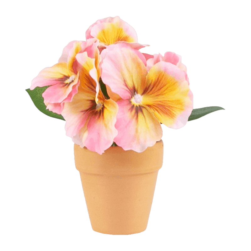Pansy Flower With Clay Pot