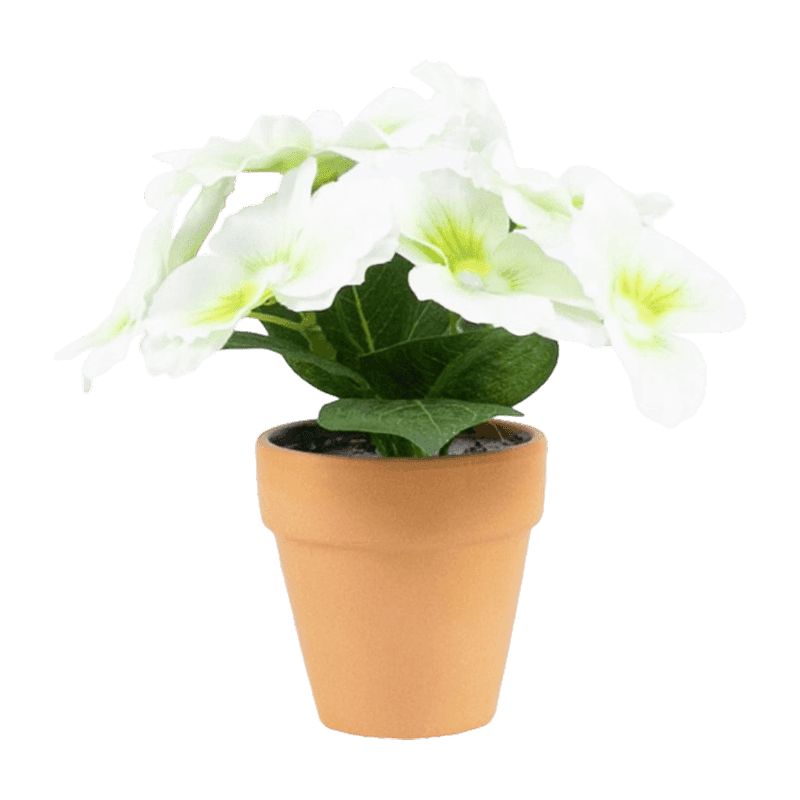 Pansy Flower With Clay Pot