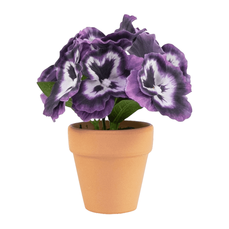 Pansy Flower With Clay Pot