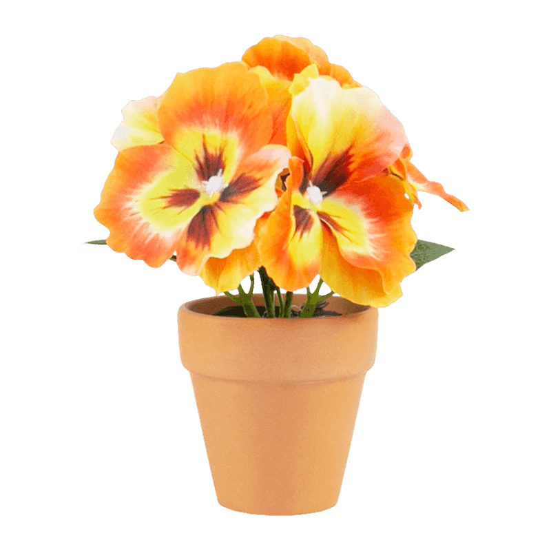 Pansy Flower With Clay Pot