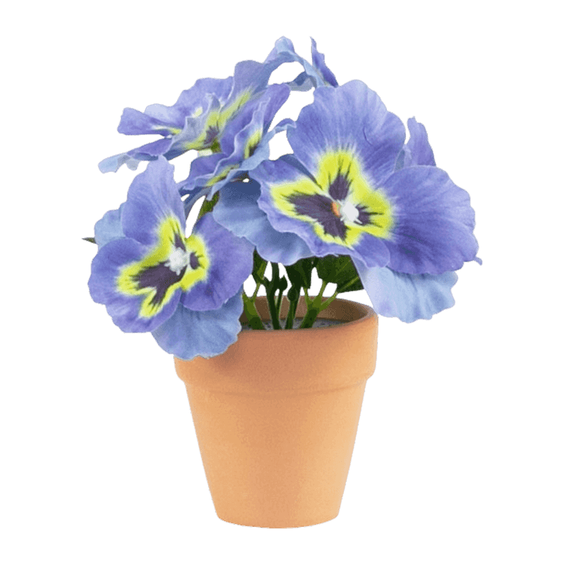 Pansy Flower With Clay Pot