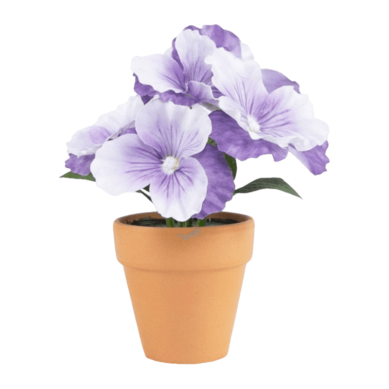 Pansy Flower With Clay Pot
